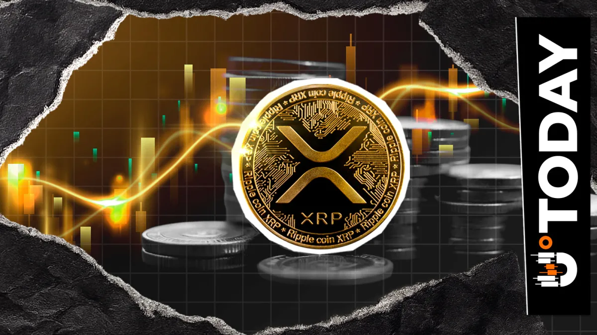 XRP Network Activity Falls 57% as Whales Slow Down