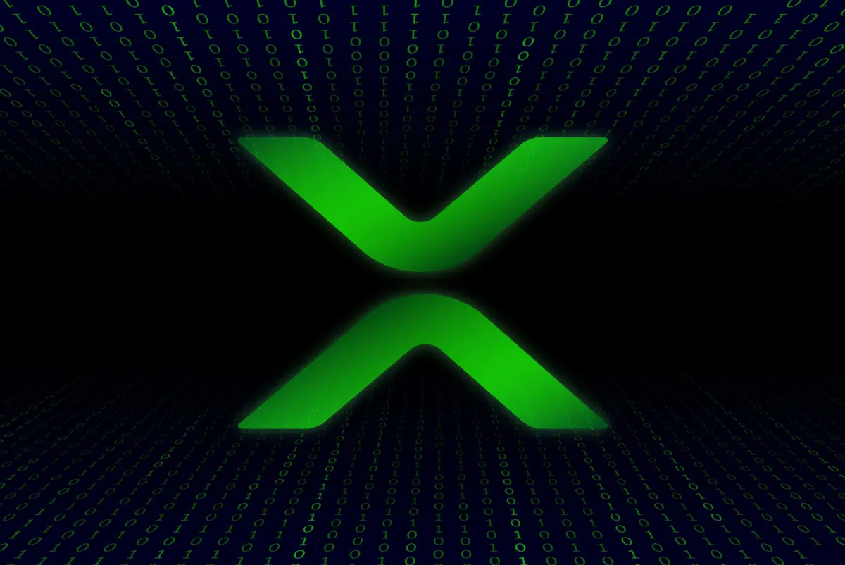 XRP Network Wakes Up With 71% Activity Spike