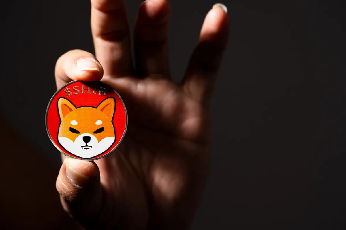 Shiba Inu (SHIB) Brutally Denied at $0.000005 Entry