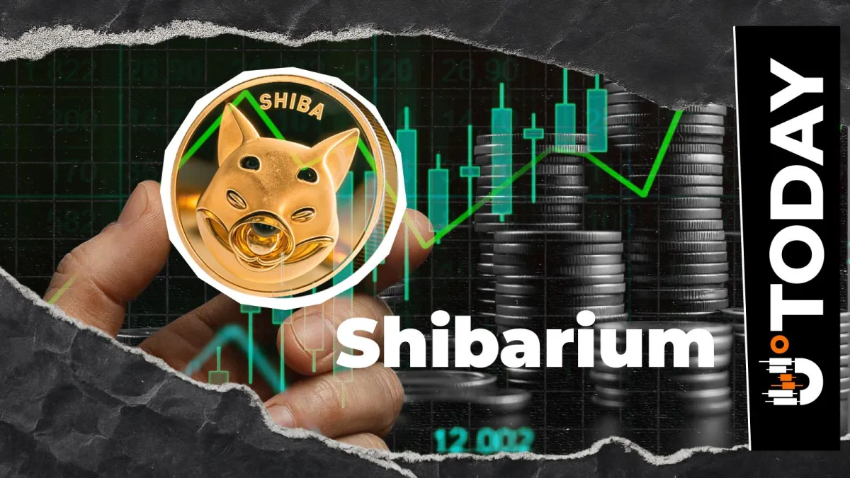 Shiba Inu: Shibarium Activity Surges 507% but Then Loses It All