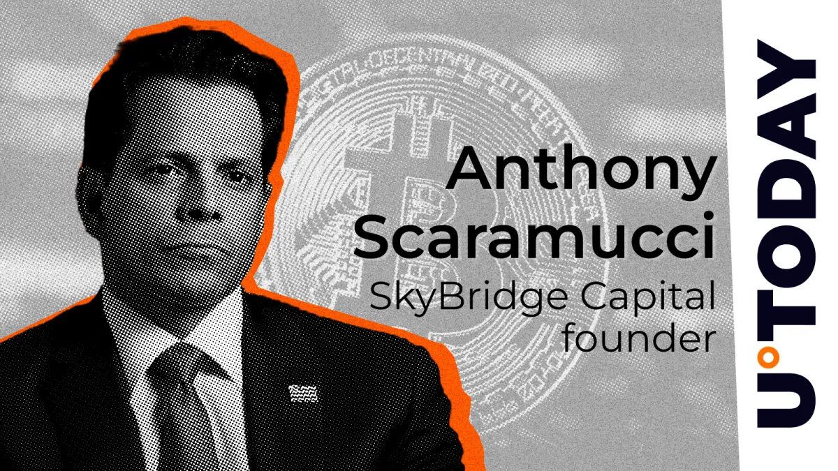 Scaramucci Names One Reason to Be Optimistic About Bitcoin Bear Market