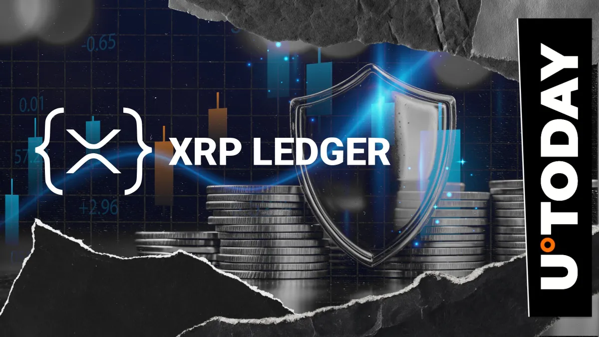 Urgent XRPL Update: Ripple Director Urges Node Operators to Install Critical Fix