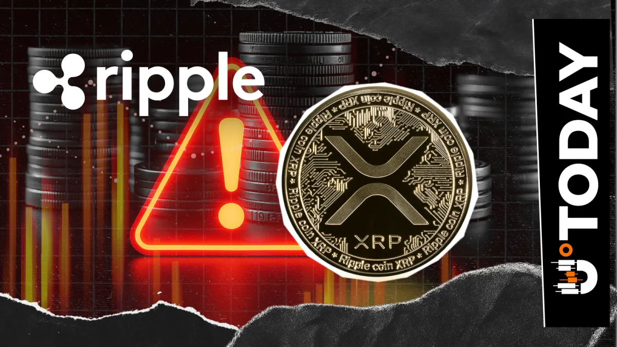 'It's a Scam!': Ripple's David Schwartz Shatters New Clone Site Targeting XRP Holders
