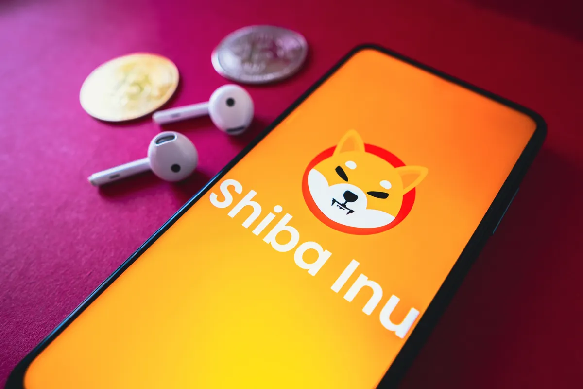 Is Shiba Inu (SHIB) Worth Holding in September? Token's Price History Provides 2 Answers