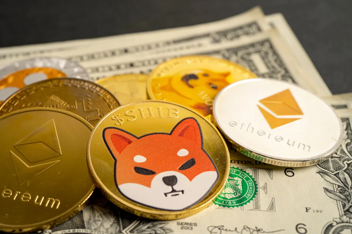 Half a Trillion Shiba Inu (SHIB) Is Out: Price Effect