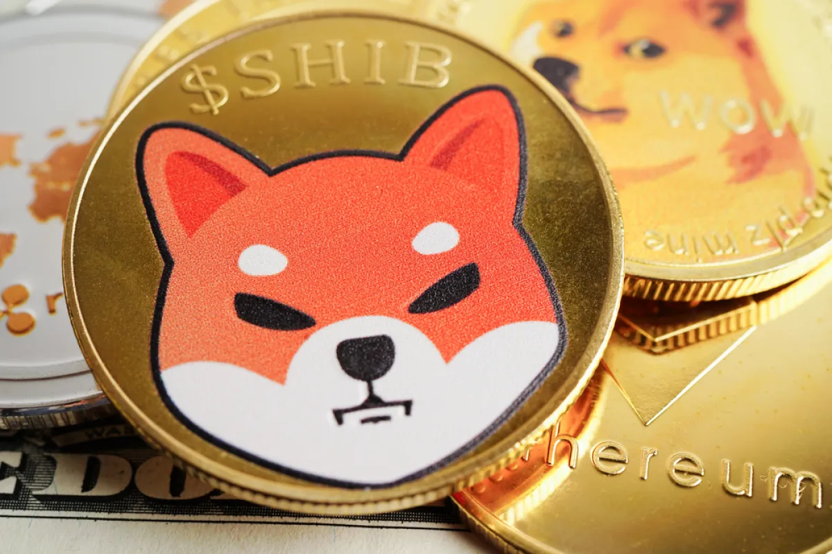 +79% in 24 Hours: Shiba Inu (SHIB) Secures Bullish Outflows