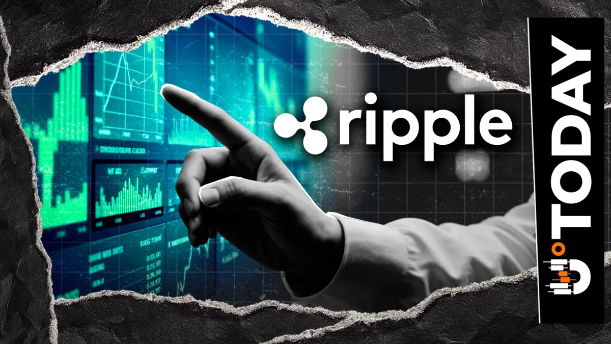 'Excited for Next Chapter of Innovation,' Ripple Exec Speaks on Latest Research Move