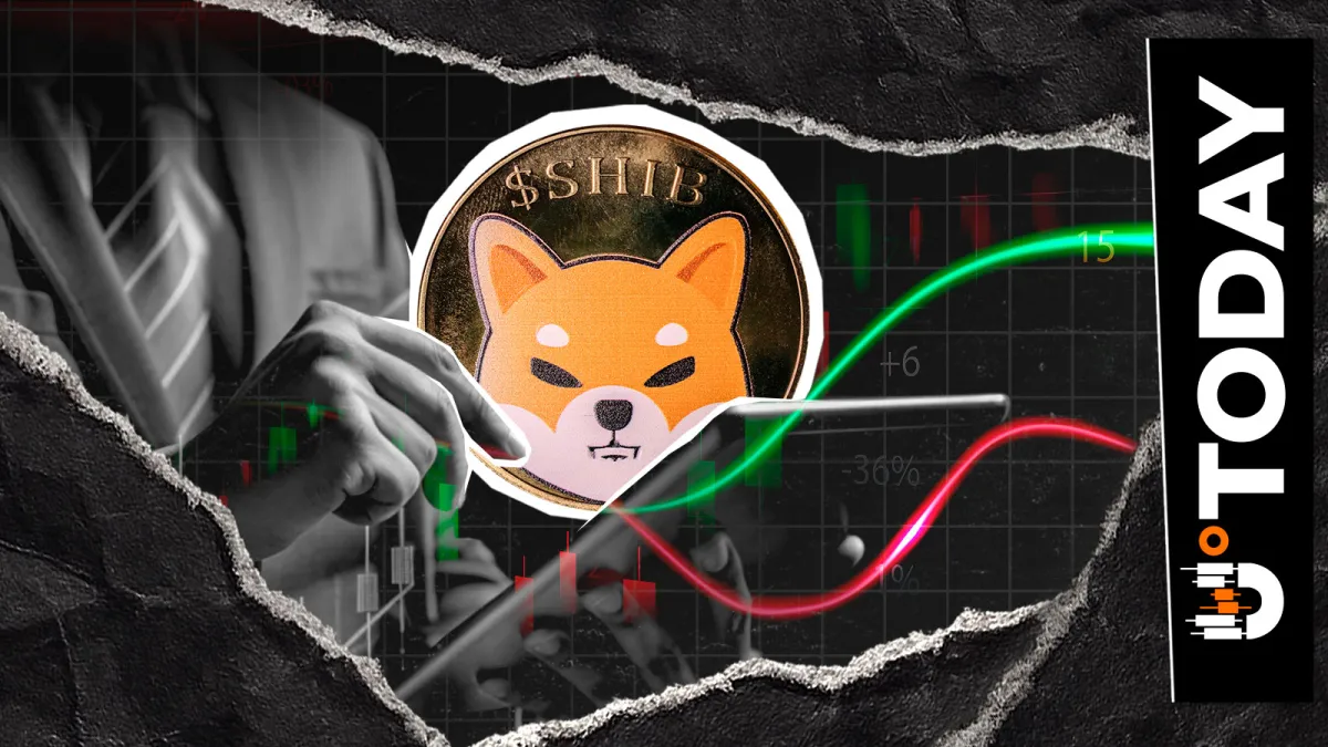 'Shiba Inu Isn't Dead': Community Veteran Calls Out Outdated SHIB Link