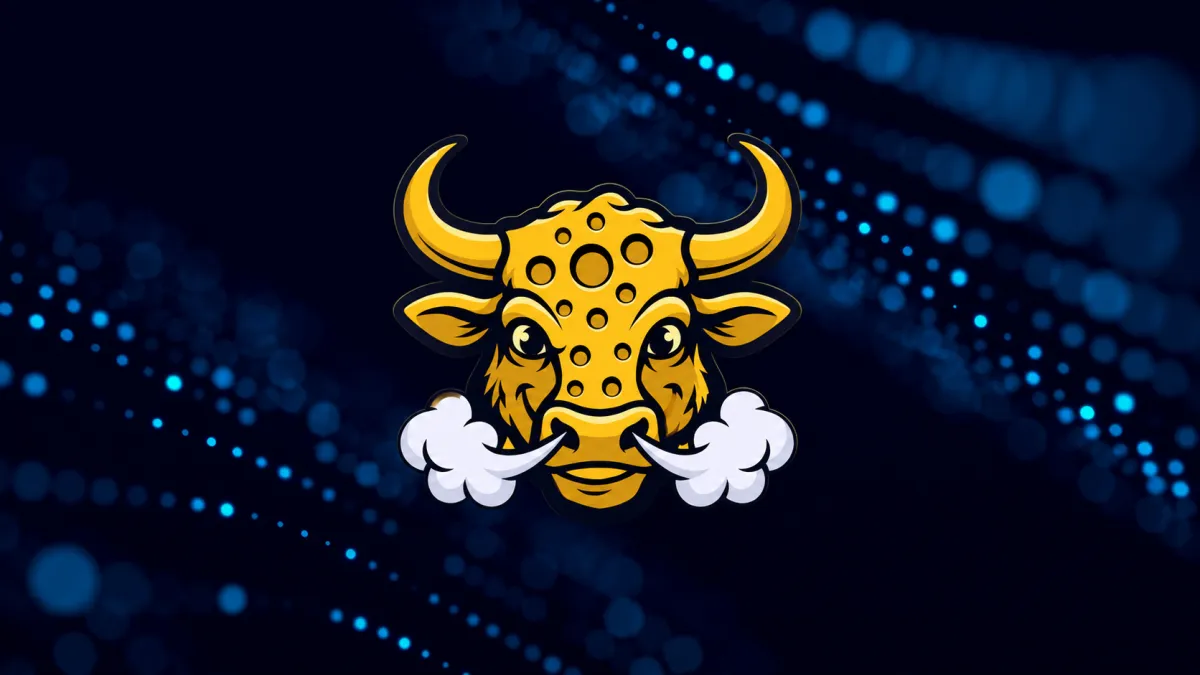 Bullcheese.fun Launches on Circle's Arc With Concentrated Liquidity Model