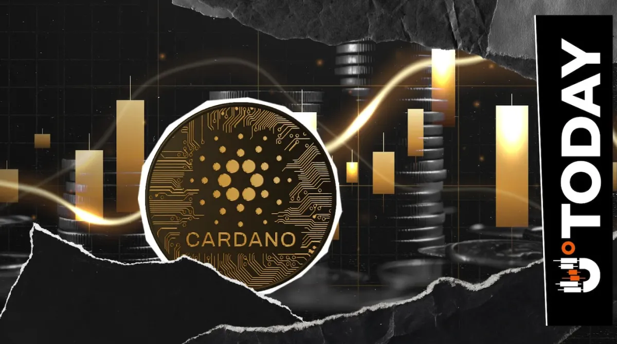 Cardano Scores Significant Payments Integration