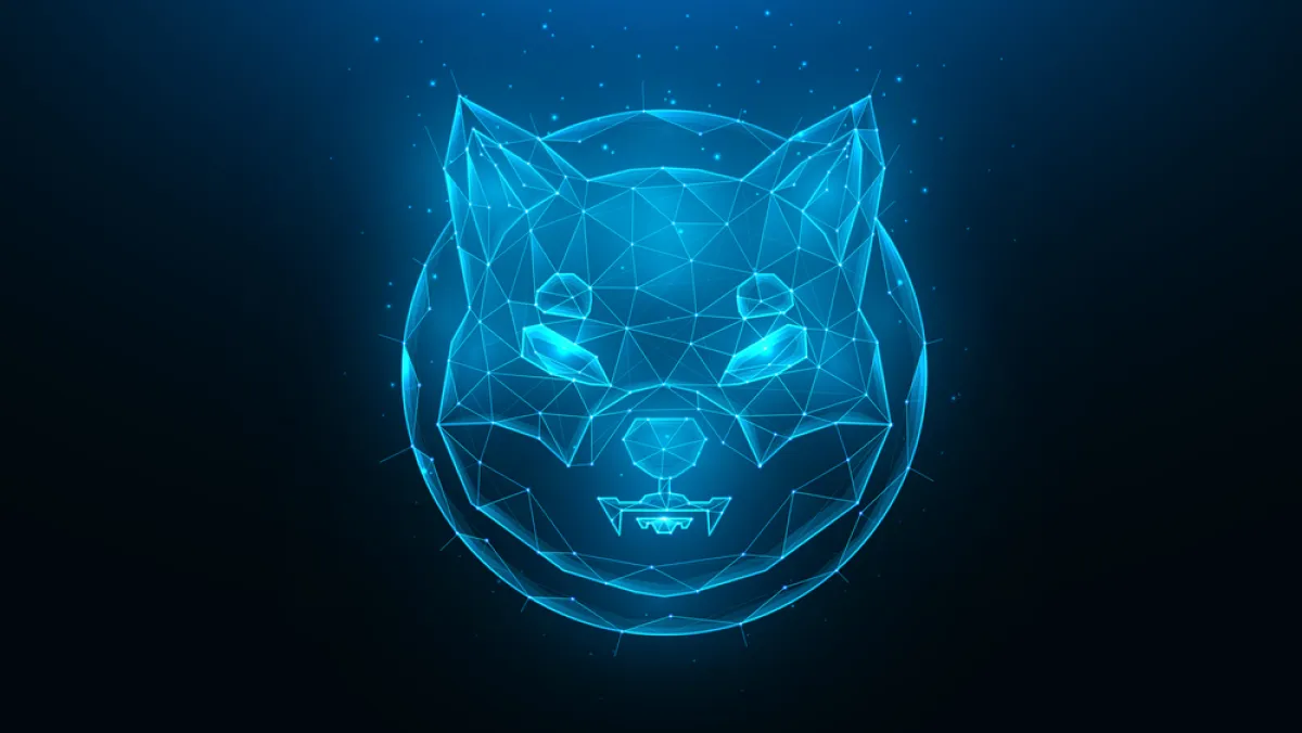 +103% in Shiba Inu (SHIB) Most Crucial Metric in 24 Hours: Can It Save the Day?