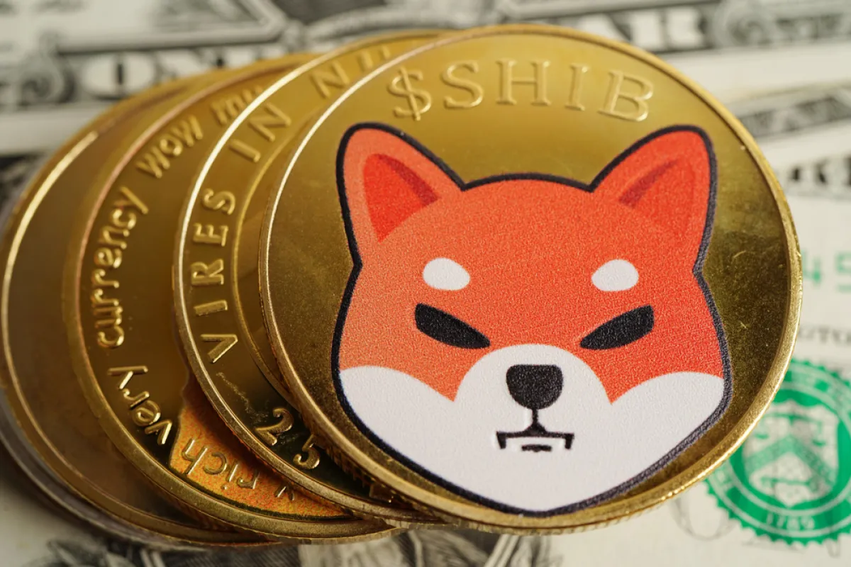 Shiba Inu (SHIB) Signal Flashes Green: 2 Price Scenarios