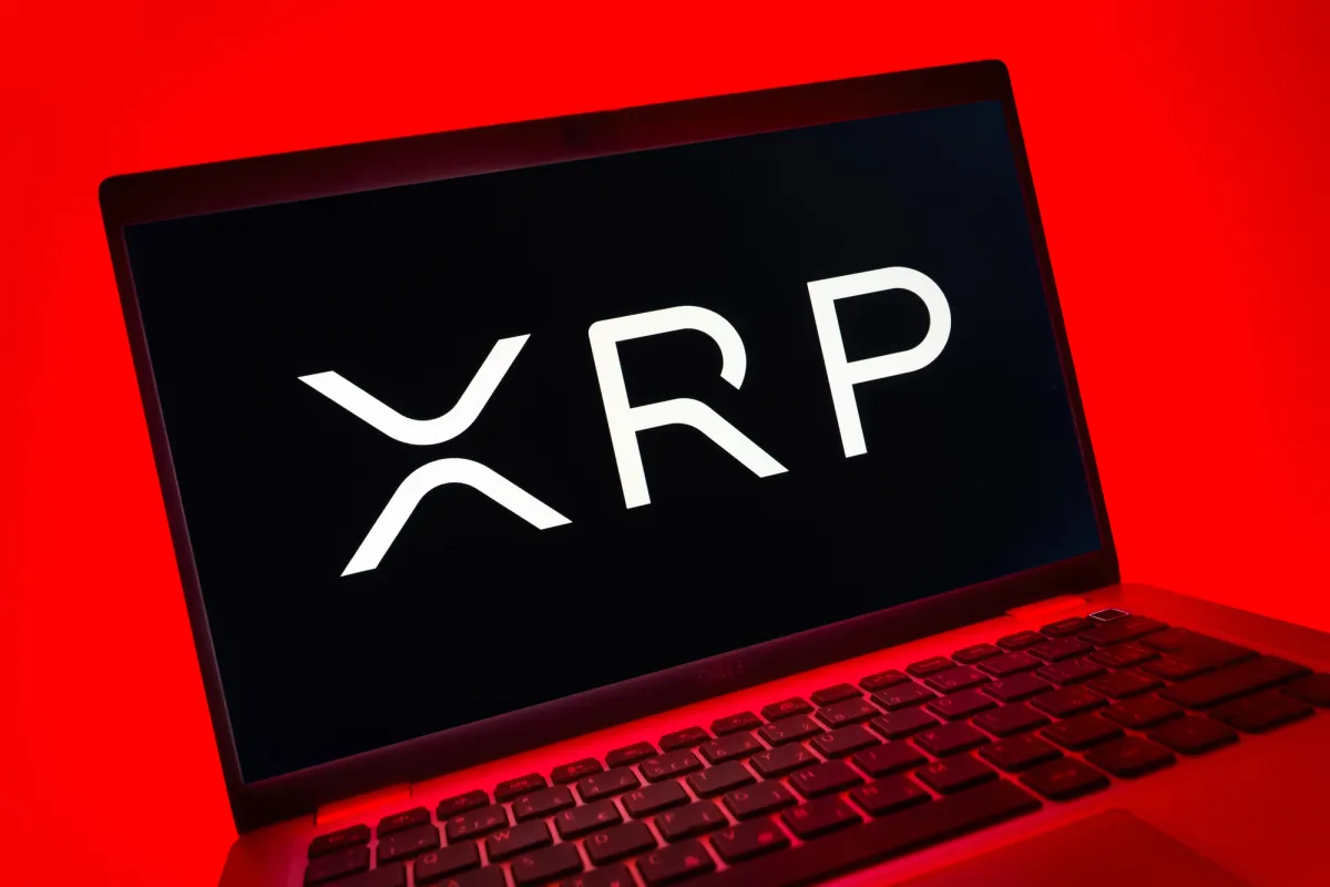 Another Raid on XRP: Ripple Veteran David Schwartz Personally Exposes Fake Airdrop