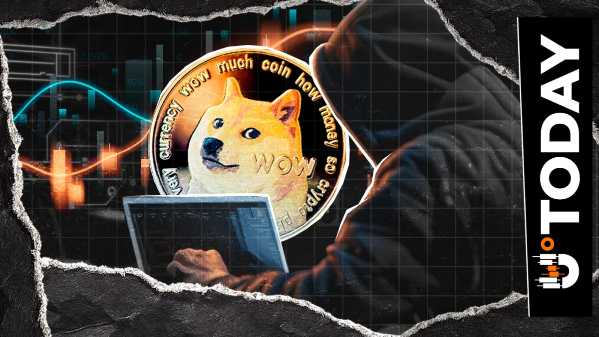 Dogecoin Developer Turns to Community for Next Core Upgrade Tests