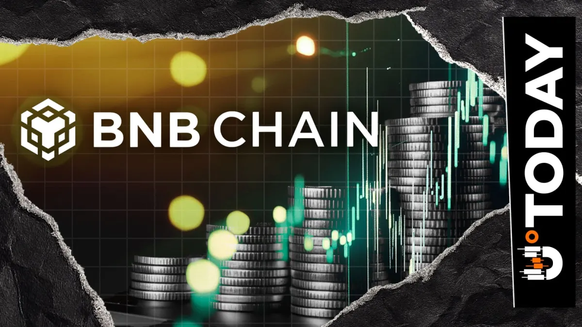 BNB Chain Flips Solana to Become Fastest-Growing Chain by RWA Value