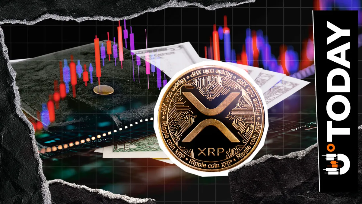 XRPL Wallet Breach: Users Urged to Halt Use Amid Security Update