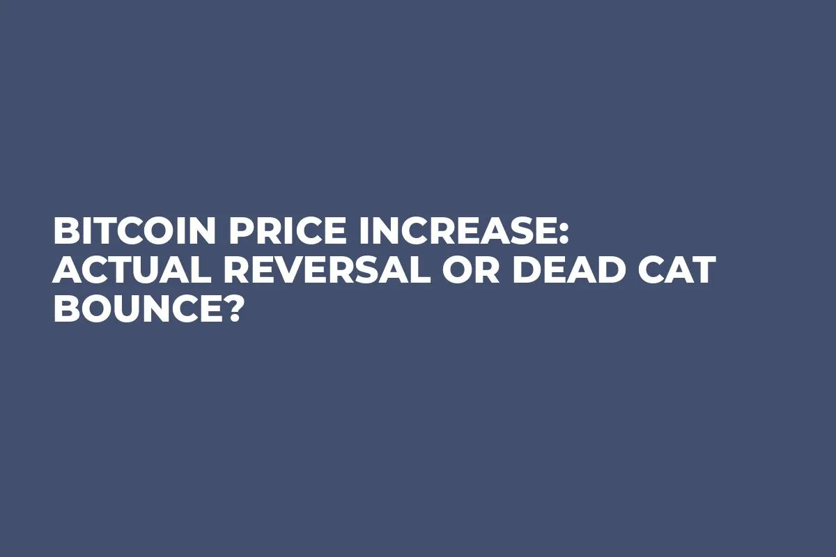 Bitcoin Price Increase: Actual Reversal or Dead Cat Bounce?