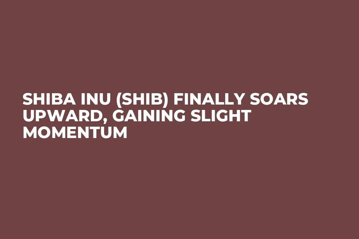 Shiba Inu (SHIB) Finally Soars Upward, Gaining Slight Momentum