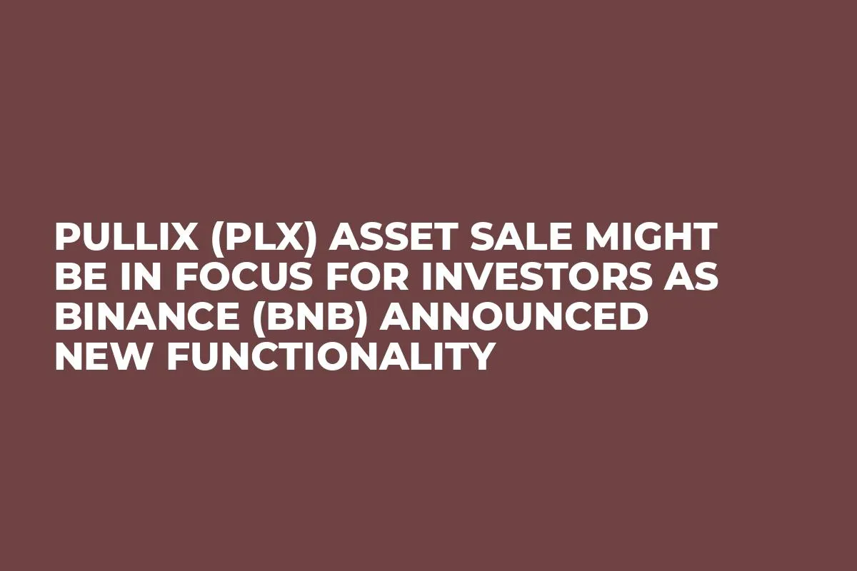 Pullix (PLX) Asset Sale Might be in Focus for Investors as Binance (BNB) Announced New Functionality