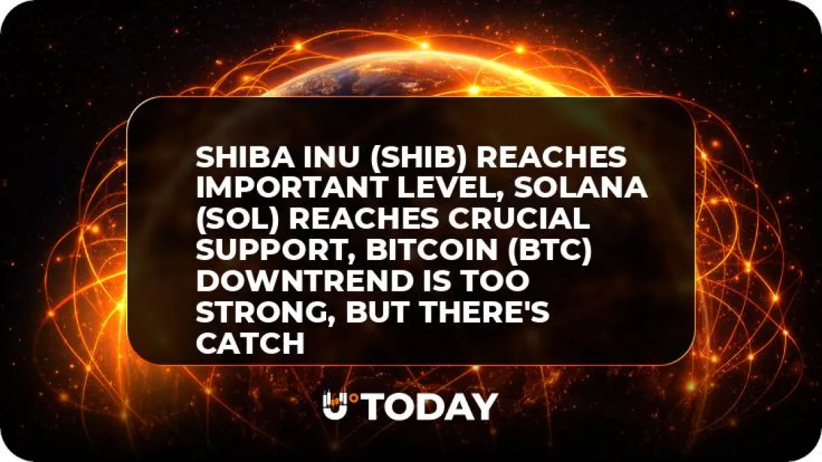 Shiba Inu (SHIB) Reaches Important Level, Solana (SOL) Reaches Crucial Support, Bitcoin (BTC) Downtrend Is Too Strong, But There's Catch