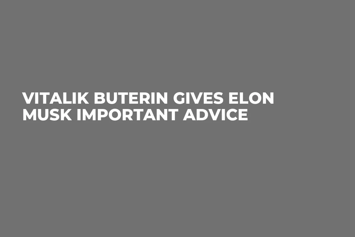 Vitalik Buterin Gives Elon Musk Important Advice