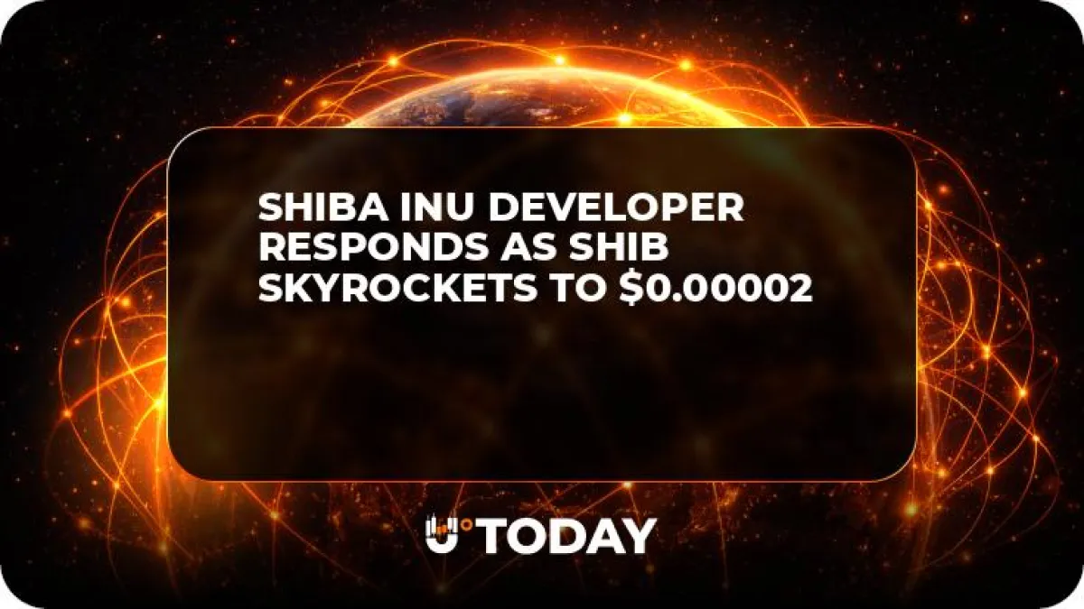 Shiba Inu Developer Responds as SHIB Skyrockets to $0.00002