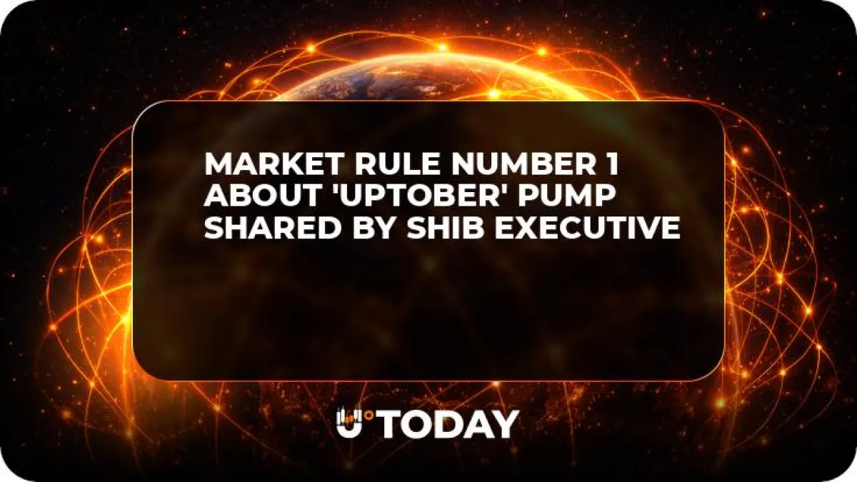 Market Rule Number 1 About 'Uptober' Pump Shared by SHIB Executive