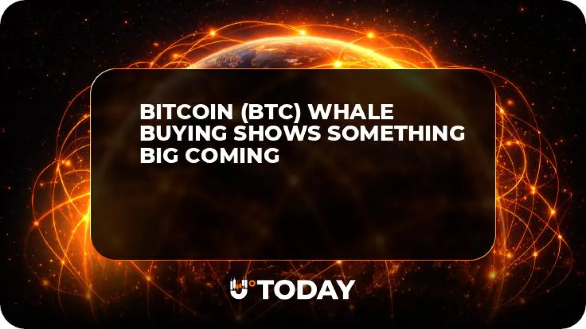 Bitcoin (BTC) Whale Buying Shows Something Big Coming