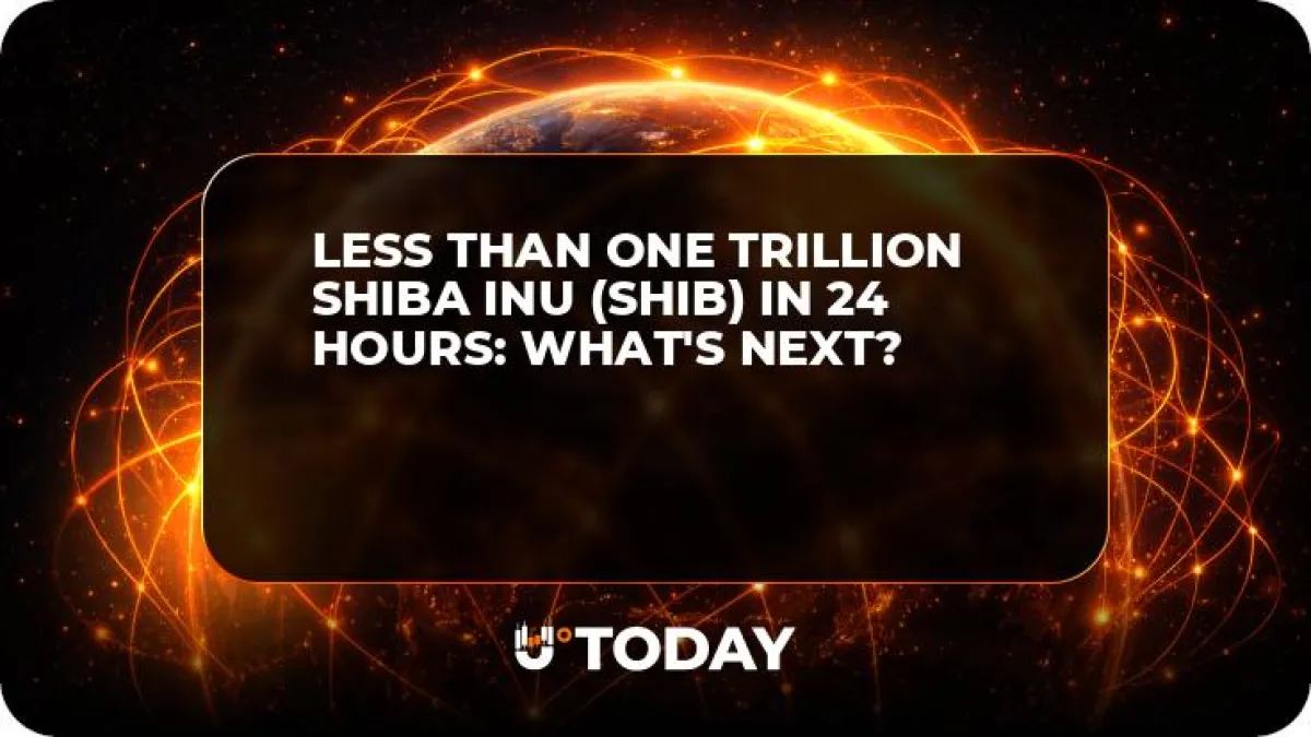 Less Than One Trillion Shiba Inu (SHIB) in 24 Hours: What's Next?