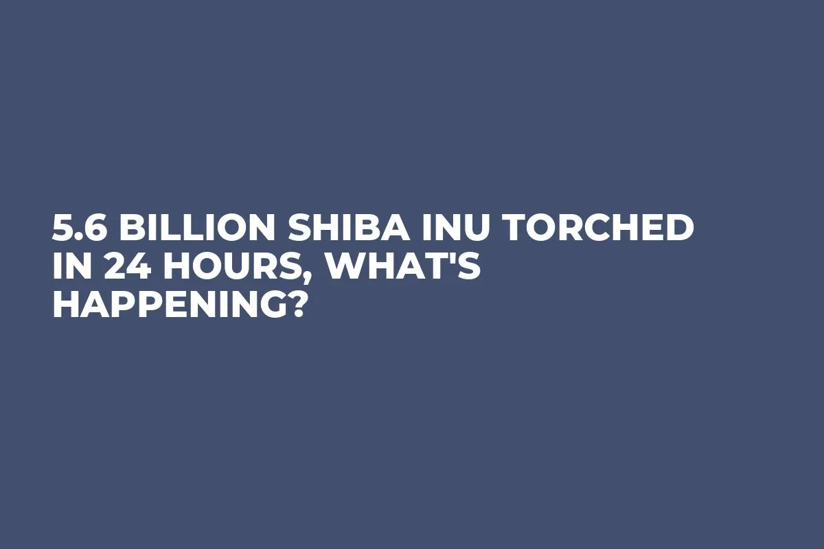5.6 Billion Shiba Inu Torched in 24 Hours, What's Happening?