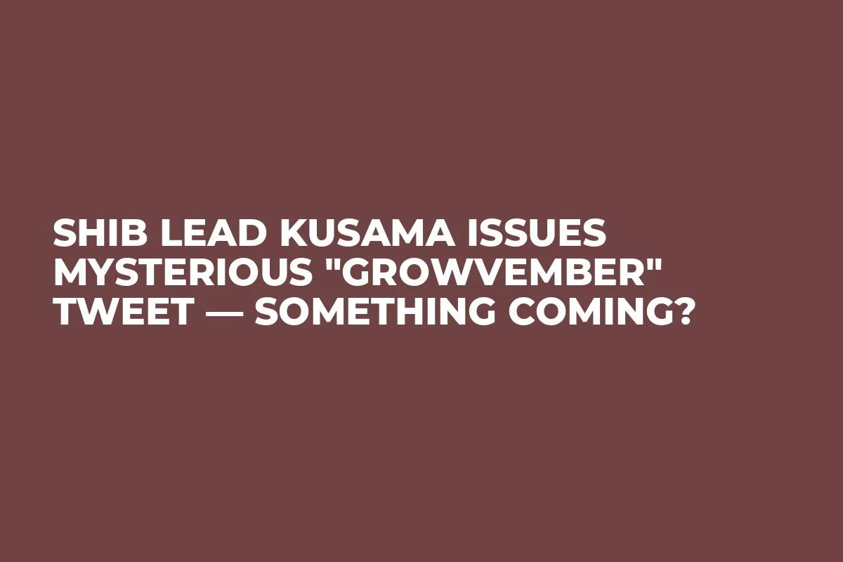 SHIB Lead Kusama Issues Mysterious "Growvember" Tweet — Something Coming?