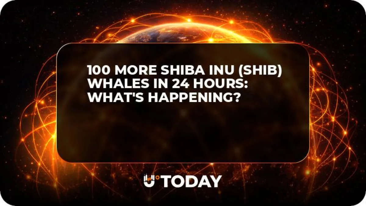 100 More Shiba Inu (SHIB) Whales in 24 Hours: What's Happening?
