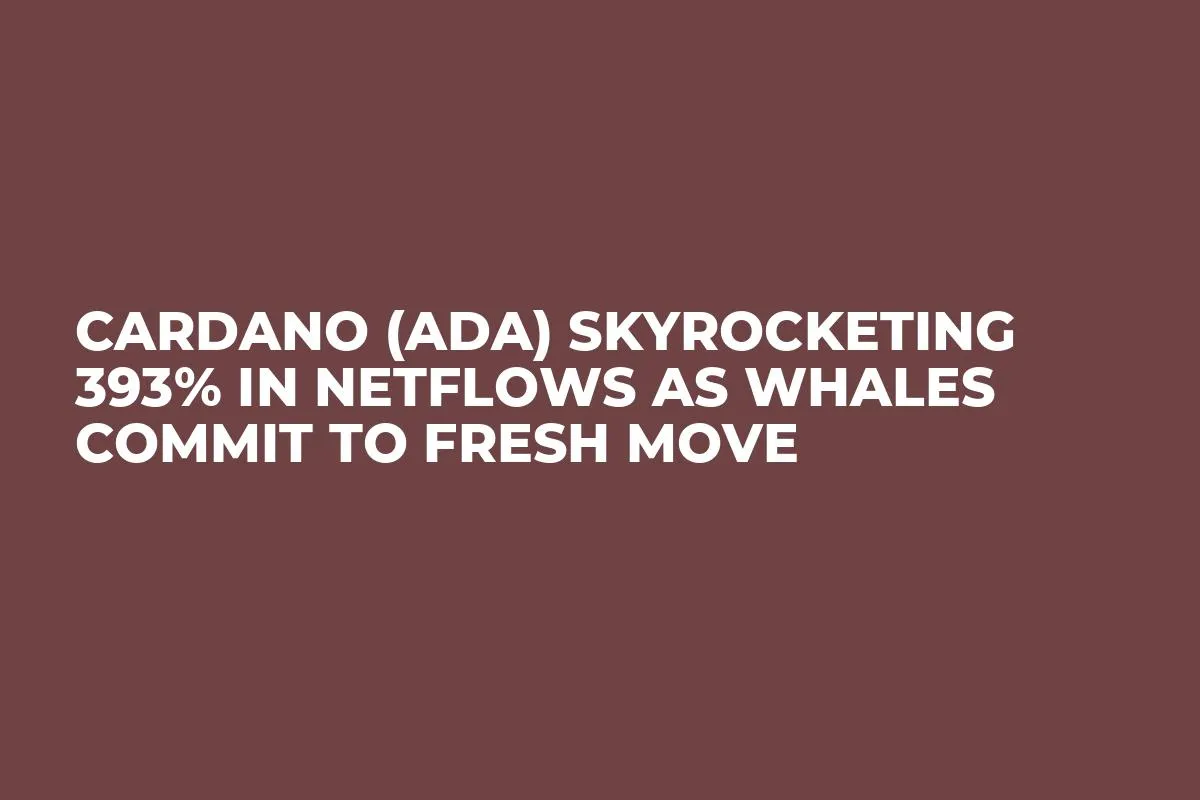 Cardano (ADA) Skyrocketing 393% in Netflows as Whales Commit to Fresh Move