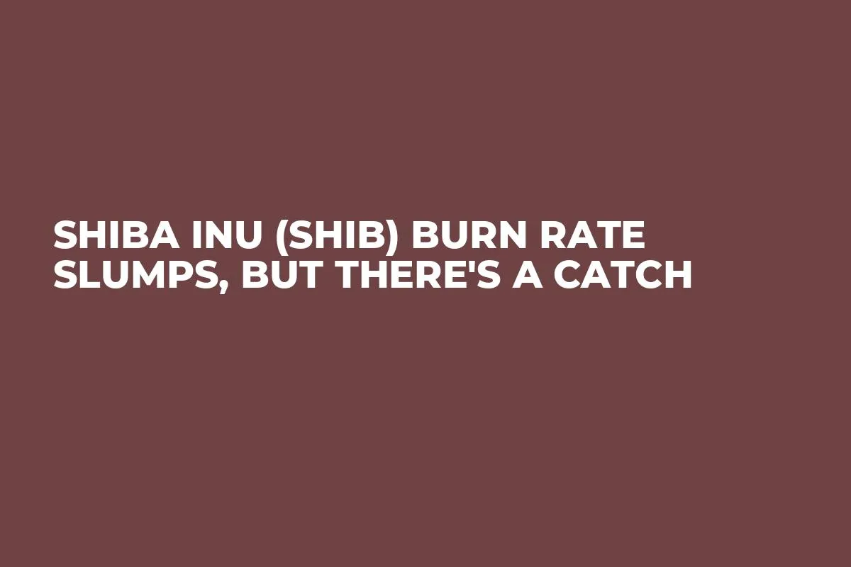 Shiba Inu (SHIB) Burn Rate Slumps, But There's a Catch