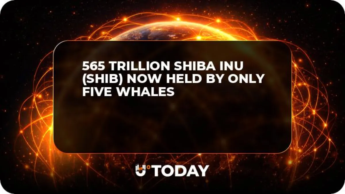 565 Trillion Shiba Inu (SHIB) Now Held by Only Five Whales