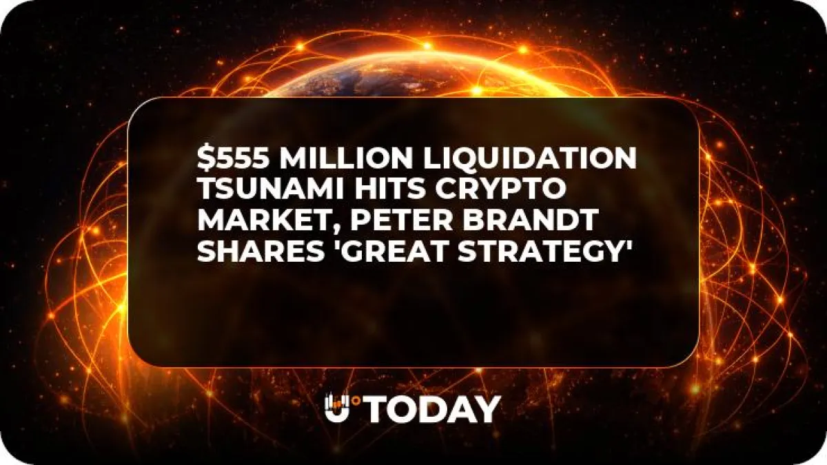 $555 Million Liquidation Tsunami Hits Crypto Market, Peter Brandt Shares 'Great Strategy'