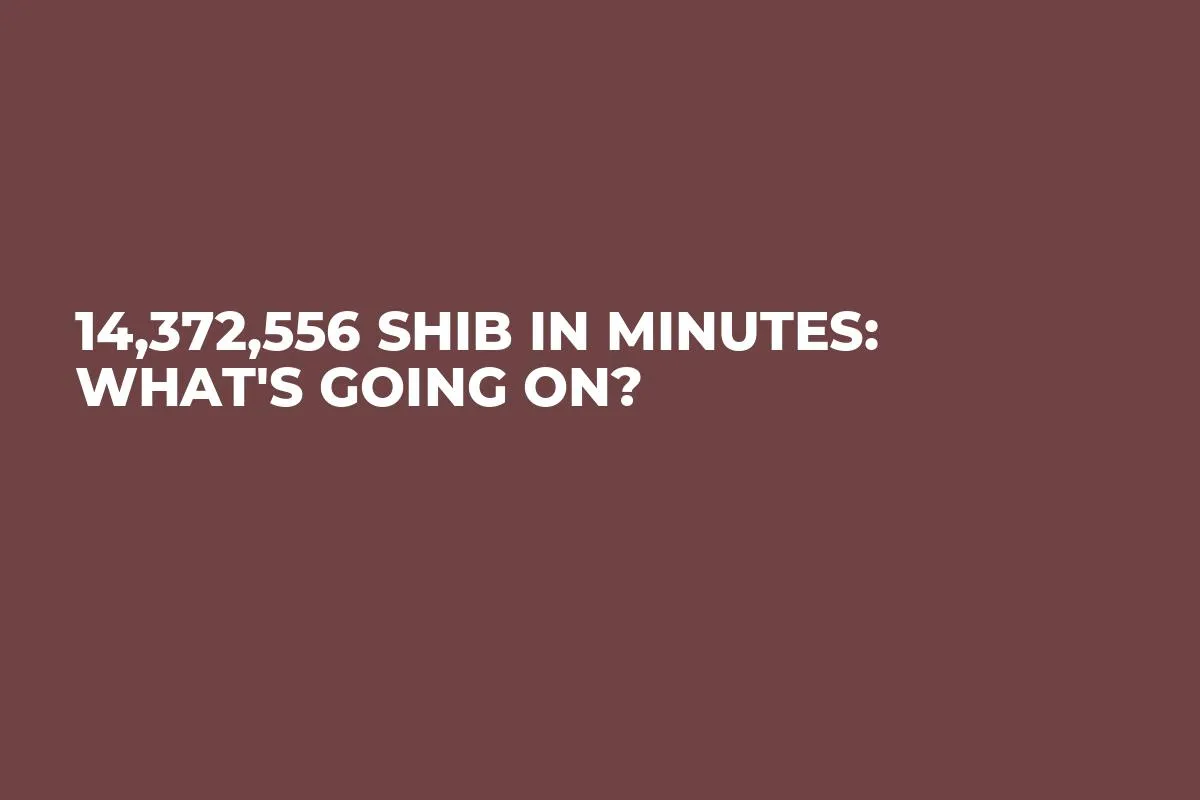 14,372,556 SHIB in Minutes: What's Going On?