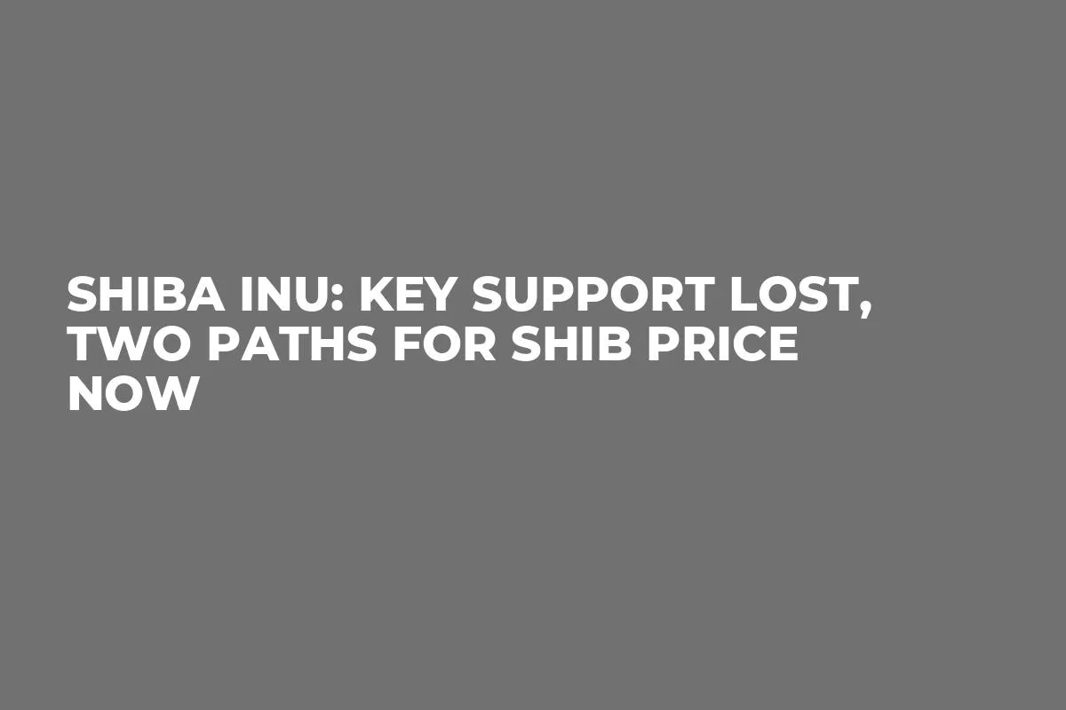Shiba Inu: Key Support Lost, Two Paths for SHIB Price Now