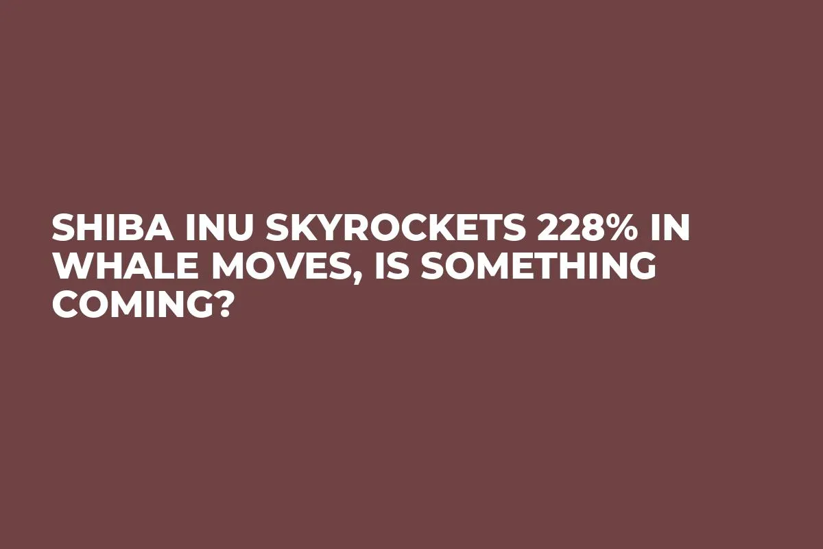 Shiba Inu Skyrockets 228% in Whale Moves, Is Something Coming?