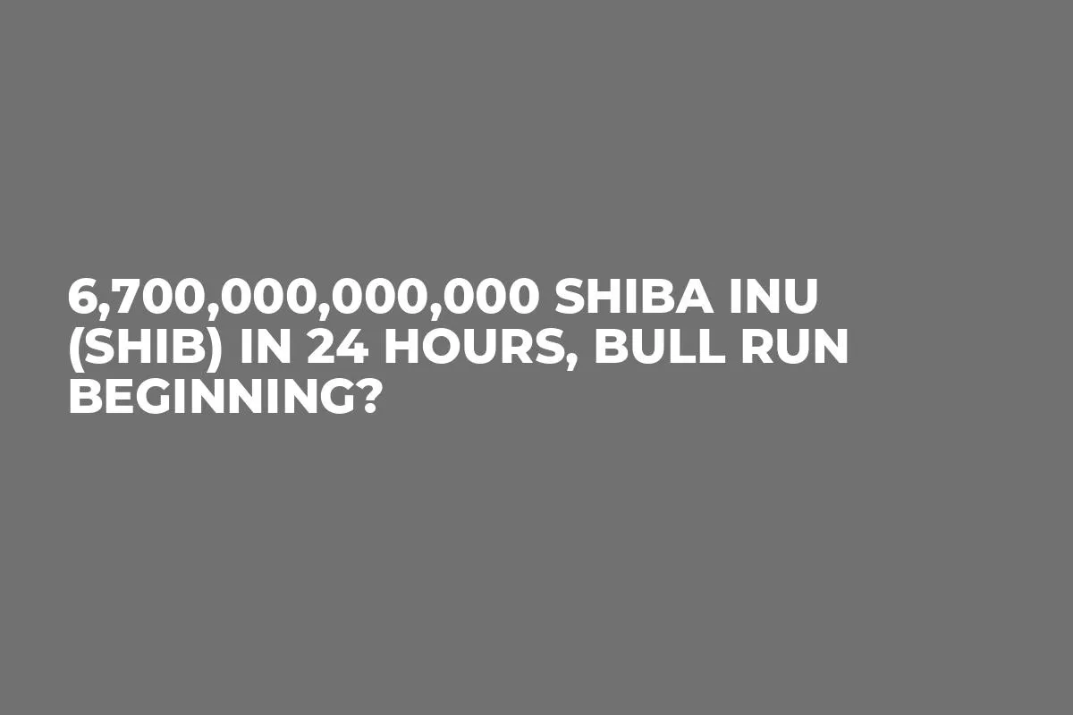 6,700,000,000,000 Shiba Inu (SHIB) in 24 Hours, Bull Run Beginning?