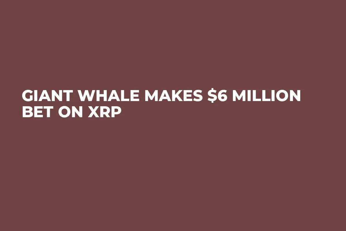 Giant Whale Makes $6 Million Bet on XRP