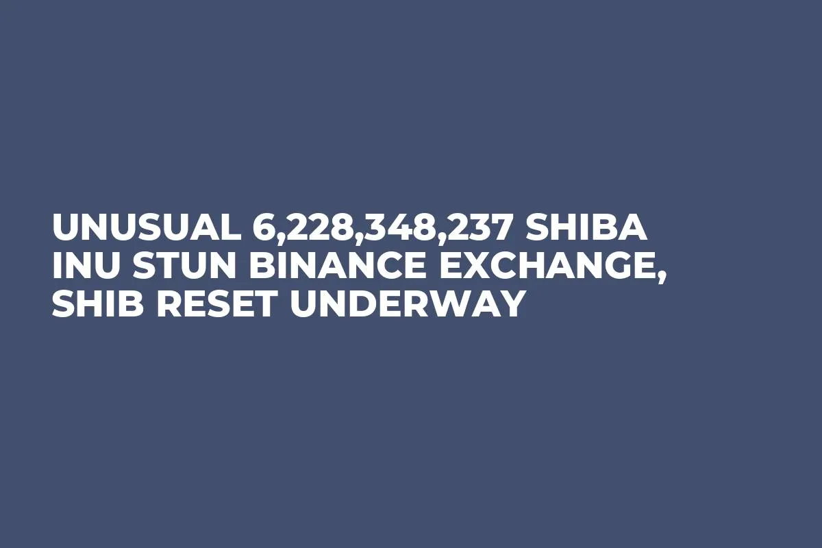 Unusual 6,228,348,237 Shiba Inu Stun Binance Exchange, SHIB Reset Underway