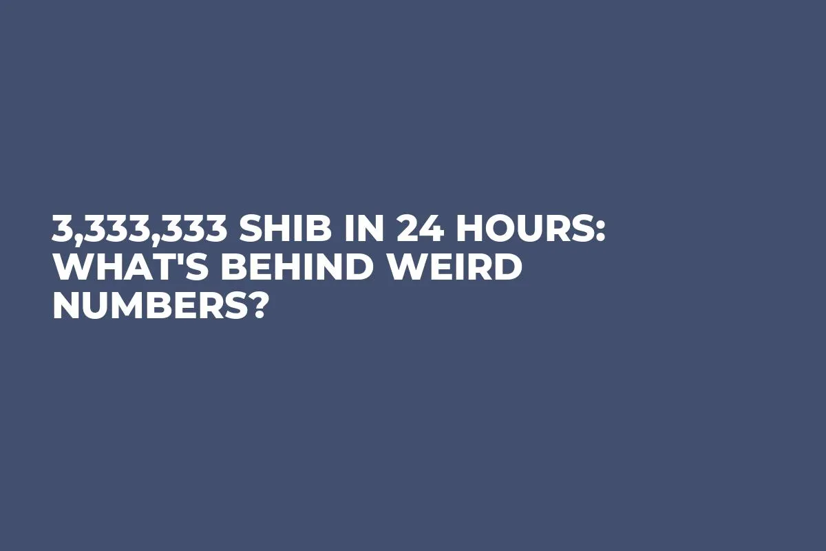 3,333,333 SHIB in 24 Hours: What's Behind Weird Numbers?