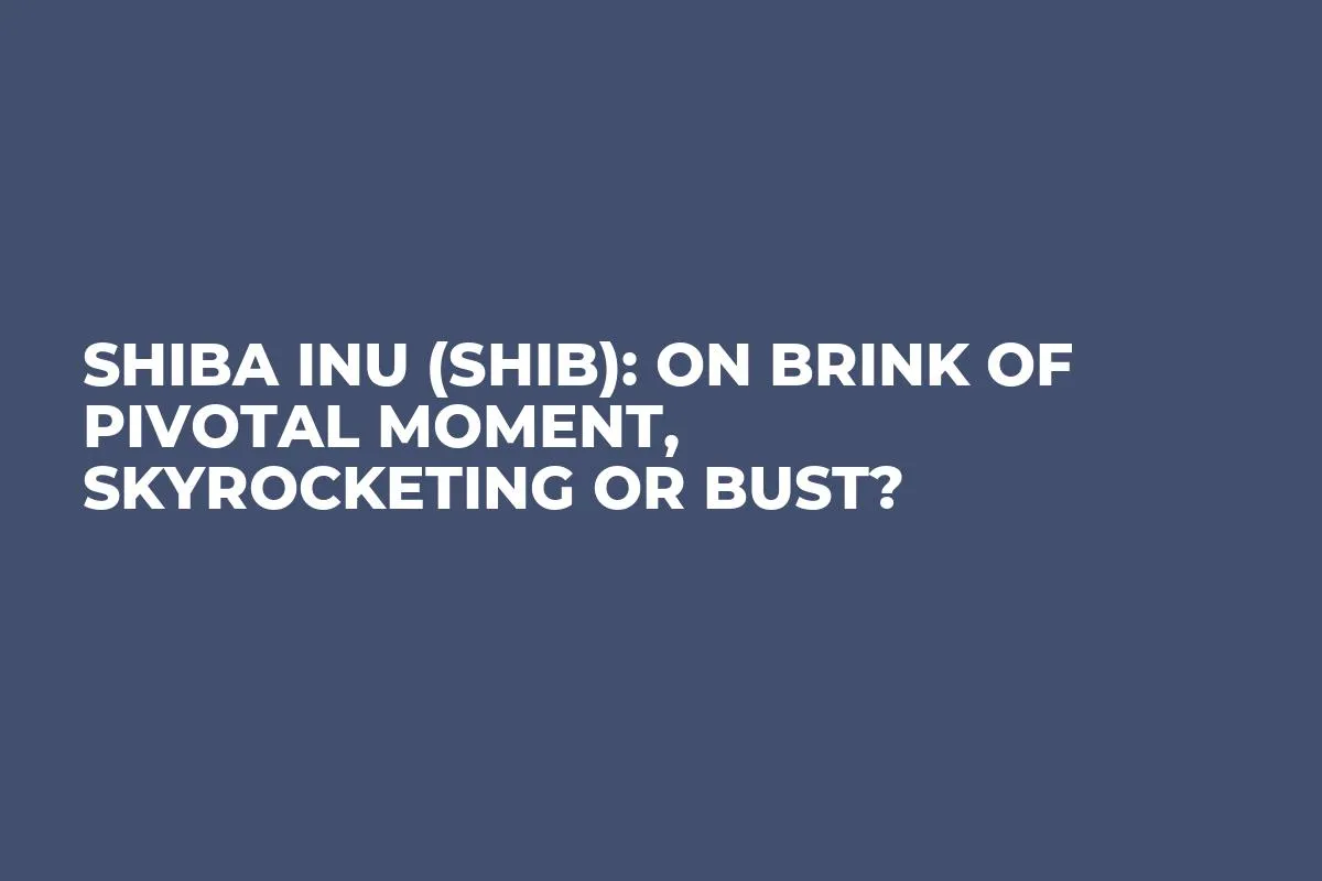 Shiba Inu (SHIB): On Brink of Pivotal Moment, Skyrocketing or Bust?