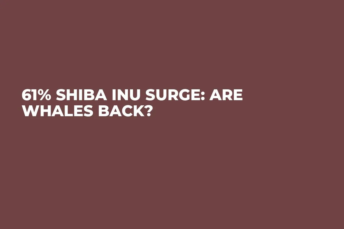 61% Shiba Inu Surge: Are Whales Back?