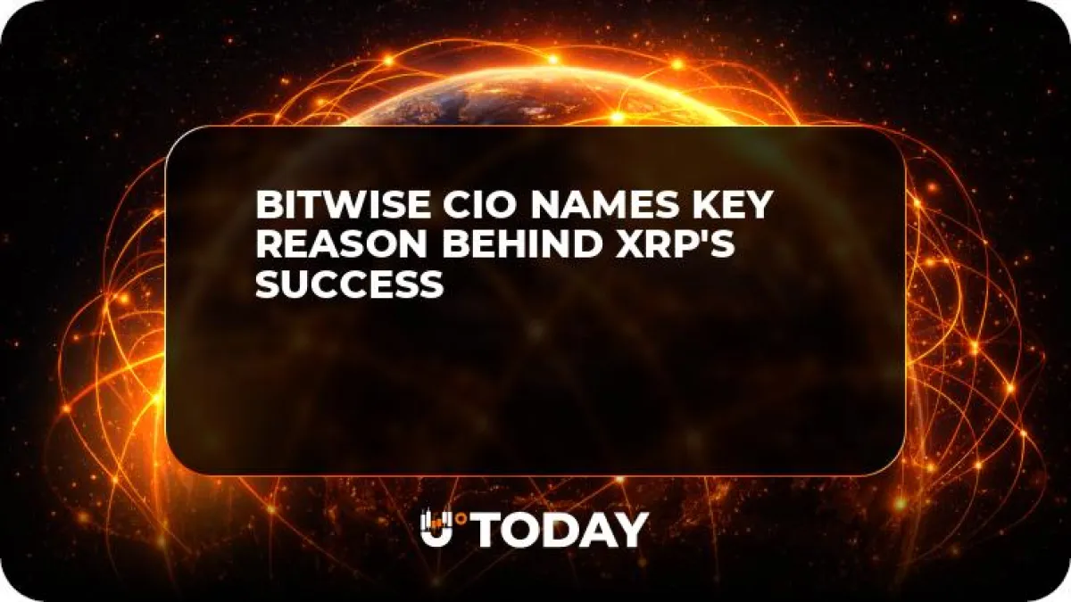 Bitwise CIO Names Key Reason Behind XRP's Success