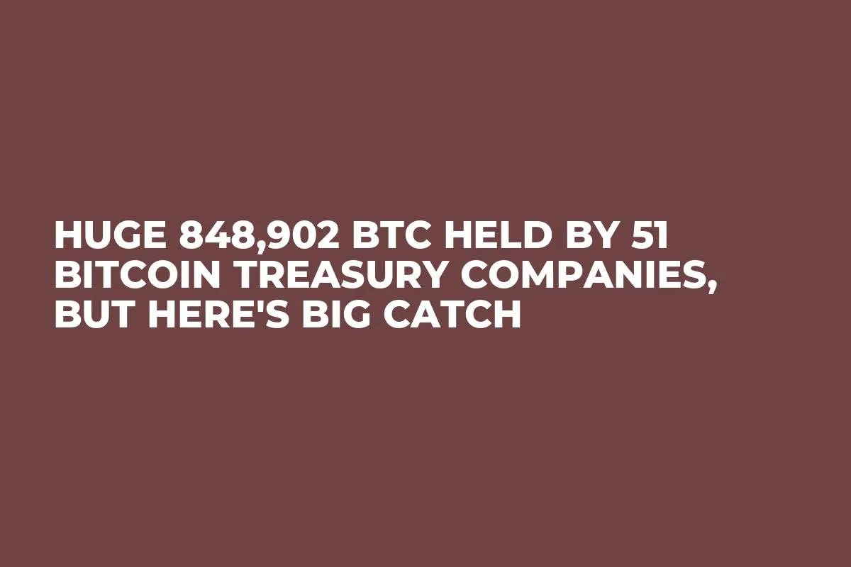 Huge 848,902 BTC Held by 51 Bitcoin Treasury Companies, But Here's Big Catch