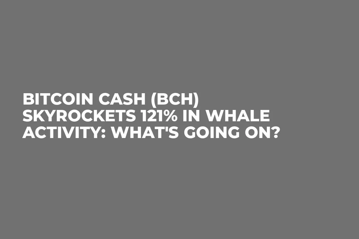 Bitcoin Cash (BCH) Skyrockets 121% in Whale Activity: What's Going On?