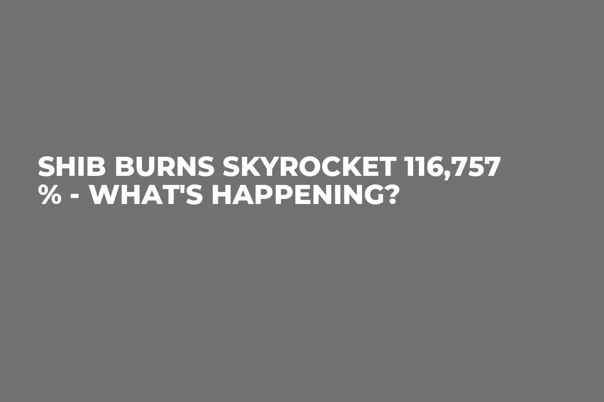 SHIB Burns Skyrocket 116,757 % - What's Happening?