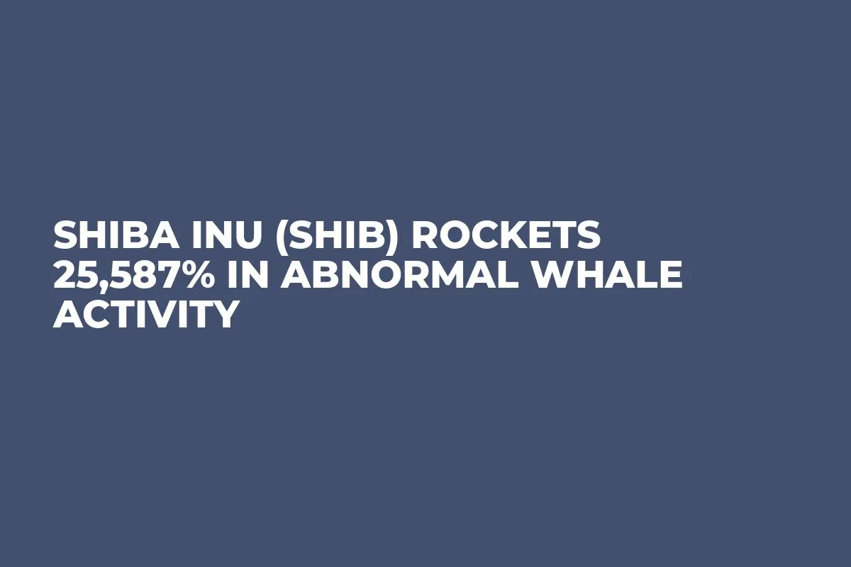 Shiba Inu (SHIB) Rockets 25,587% in Abnormal Whale Activity